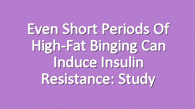 Even Short Periods of High-Fat Binging Can Induce Insulin Resistance: Study
