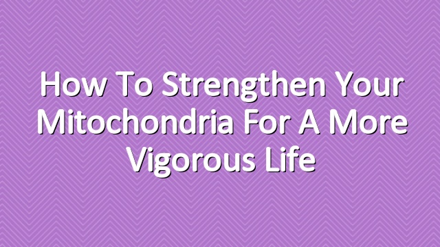 How To Strengthen your Mitochondria for a More Vigorous Life