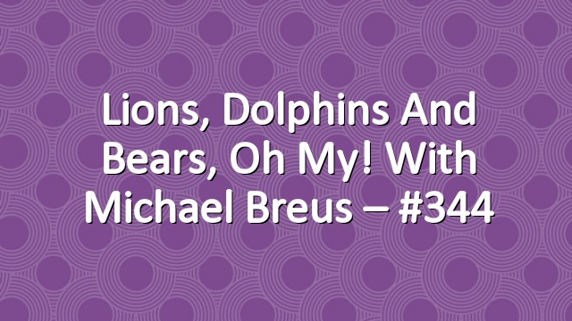 Lions, Dolphins and Bears, Oh My! With Michael Breus – #344