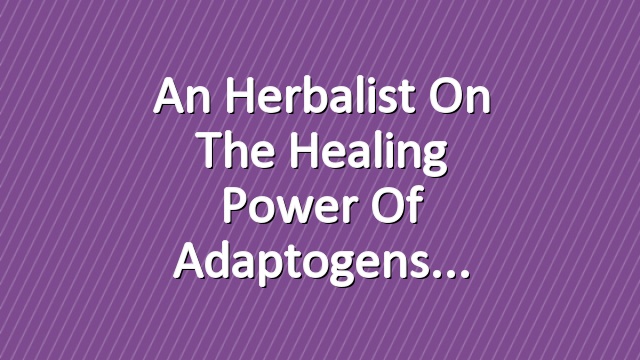 An Herbalist on the Healing Power of Adaptogens