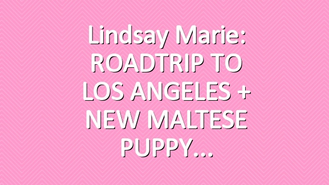 Lindsay Marie: ROADTRIP TO LOS ANGELES + NEW MALTESE PUPPY