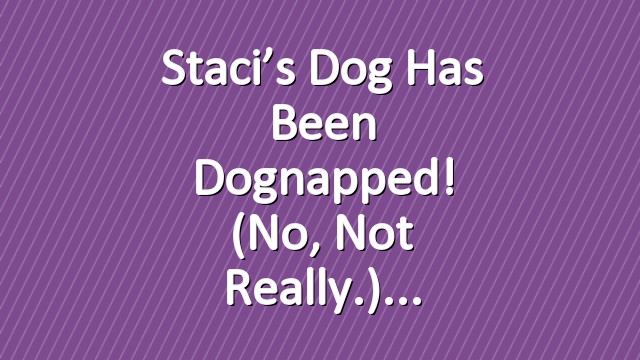 Staci’s dog has been dognapped! (No, not really.)