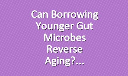 Can Borrowing Younger Gut Microbes Reverse Aging?