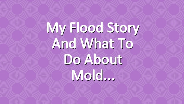 My Flood Story and What to Do About Mold