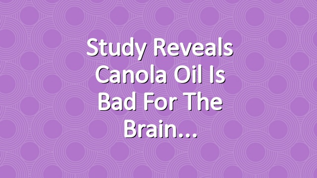 Study Reveals Canola Oil Is Bad for the Brain