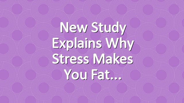 New Study Explains Why Stress Makes You Fat