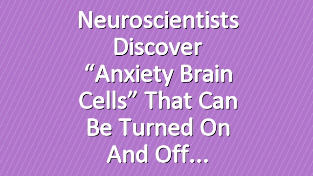 Neuroscientists Discover “Anxiety Brain Cells” That Can Be Turned On and Off