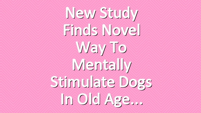 New Study Finds Novel Way to Mentally Stimulate Dogs in Old Age